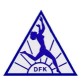 dfk-logo25